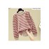 Women's Cotton Stripe Sweatshirt Long Sleeve Slim Pullover